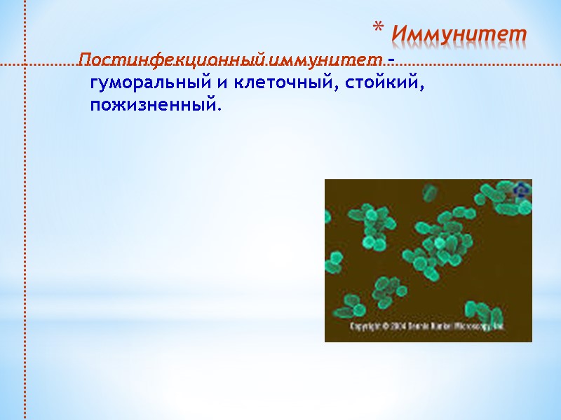 Иммунитет Постинфекционный иммунитет – гуморальный и клеточный, стойкий, пожизненный.